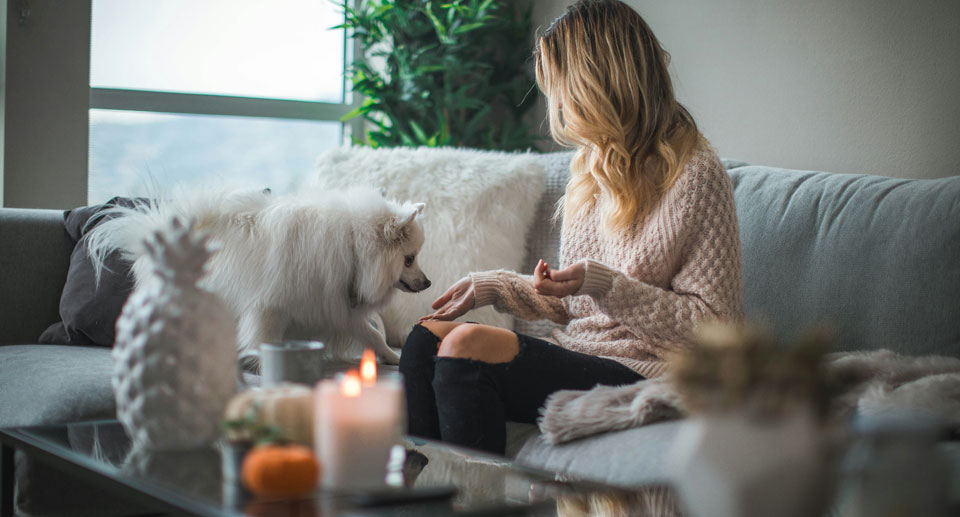 Combien de visites en moyenne pour vendre une maison ?