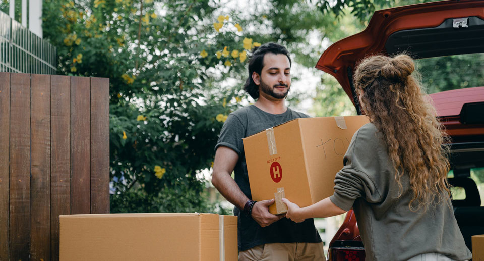 8 infos essentielles sur la plateforme AL’in.